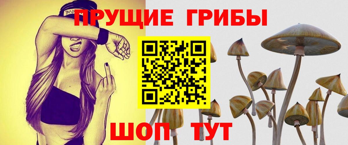 Донецк  Псилоцибиновые грибы Psilocybe  Вход с VPN  Галлюциногенные грибы Psilocybe 