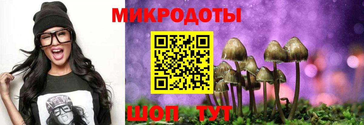 Псилоцибиновые грибы Cubensis Донецк